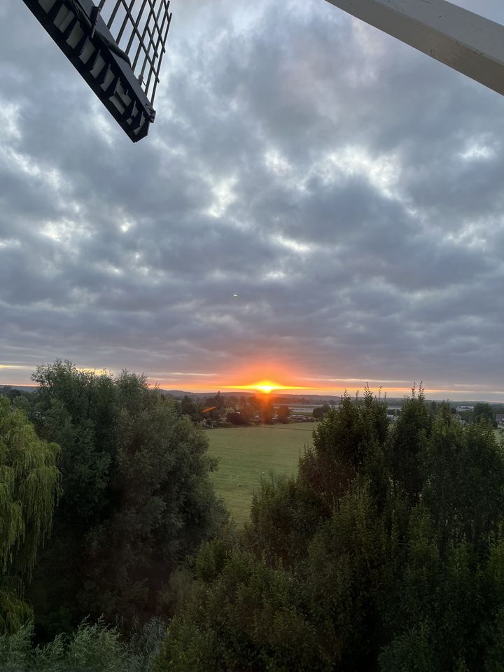 Maurik — Tuesday, July 21, 05:54