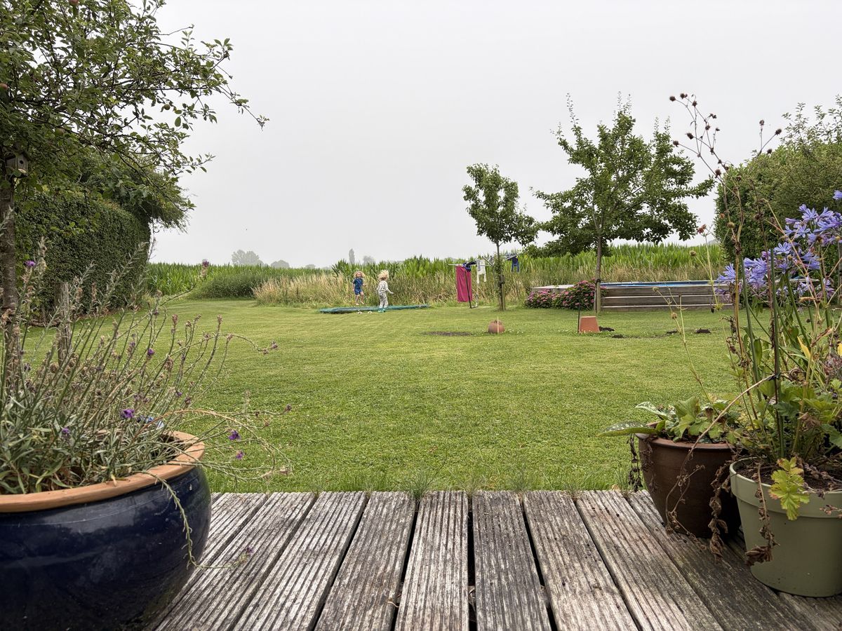 Zuidwolde — Saturday, July 11, 09:14