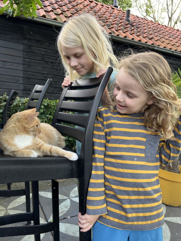 Giethoorn — Sunday, July 19, 11:33