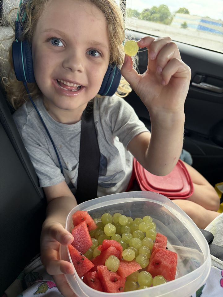 En route to Haarlem — Friday, July 24, 12:53