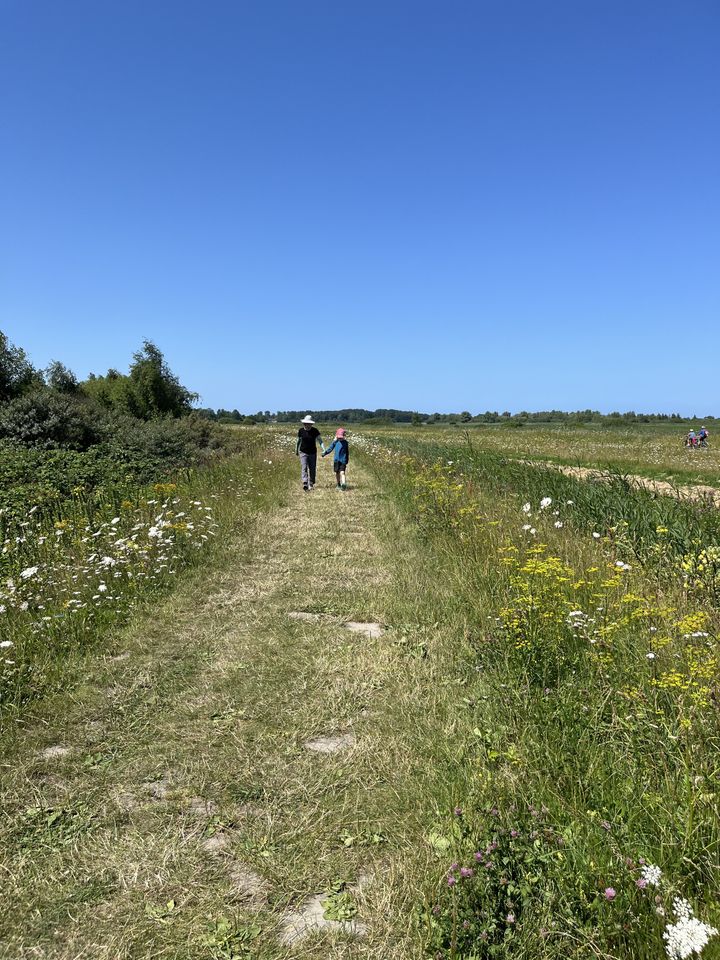 Zuidwolde — Sunday, July 12, 12:55