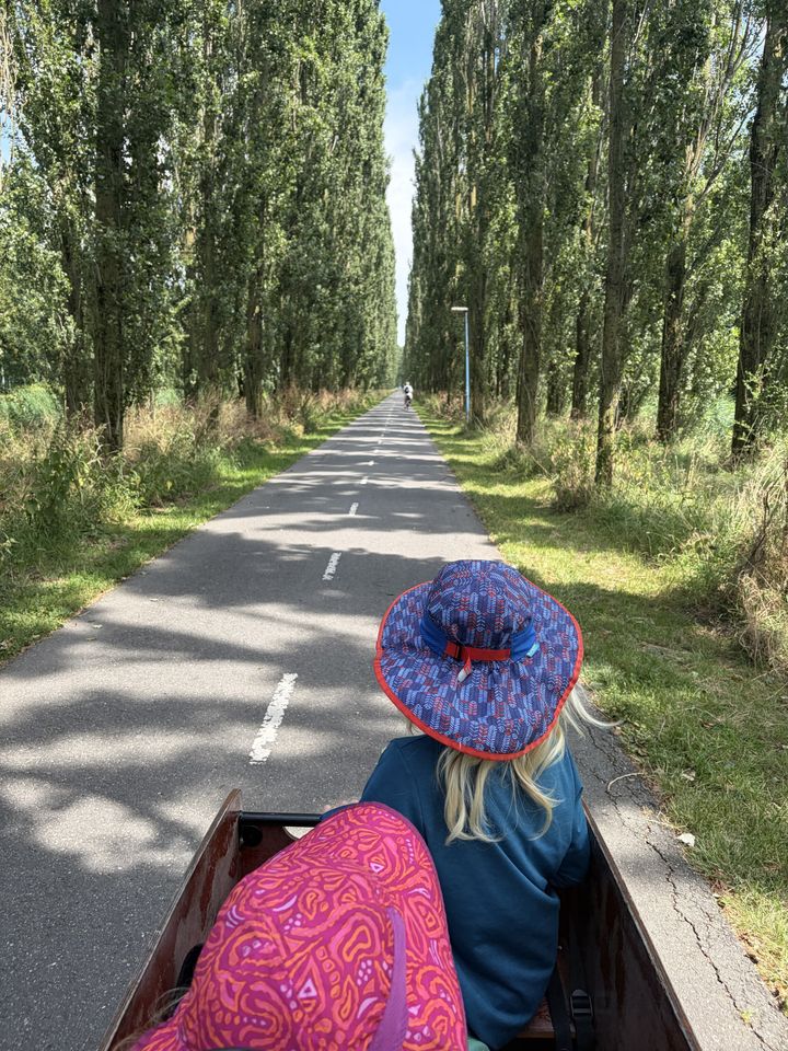 Zuidwolde — Wednesday, July 15, 13:49