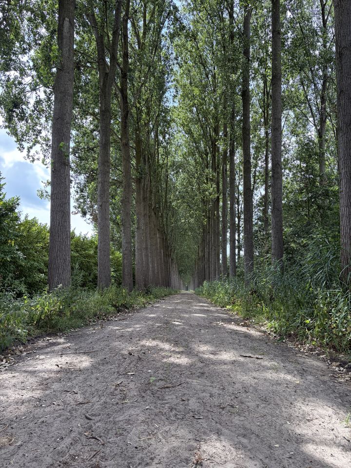 Schijndel — Thursday, July 23, 14:44