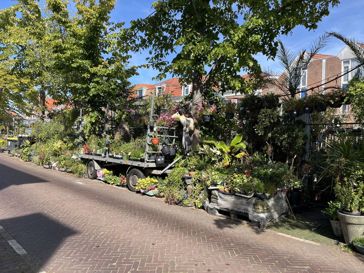 Haarlem — Friday, July 24, 16:42