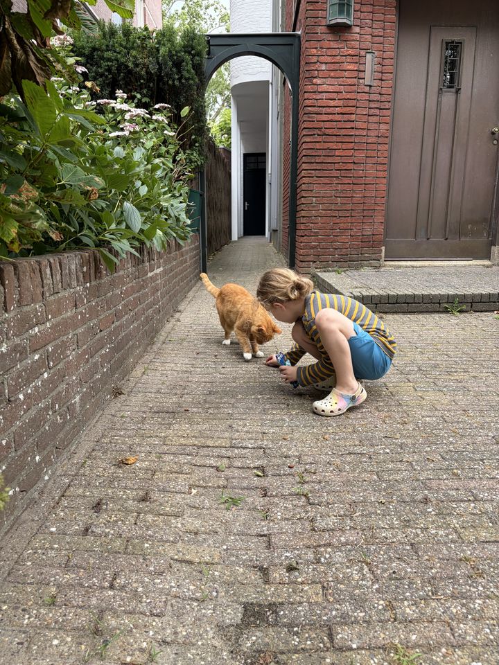 Alkmaar — Tuesday, July 7, 17:35