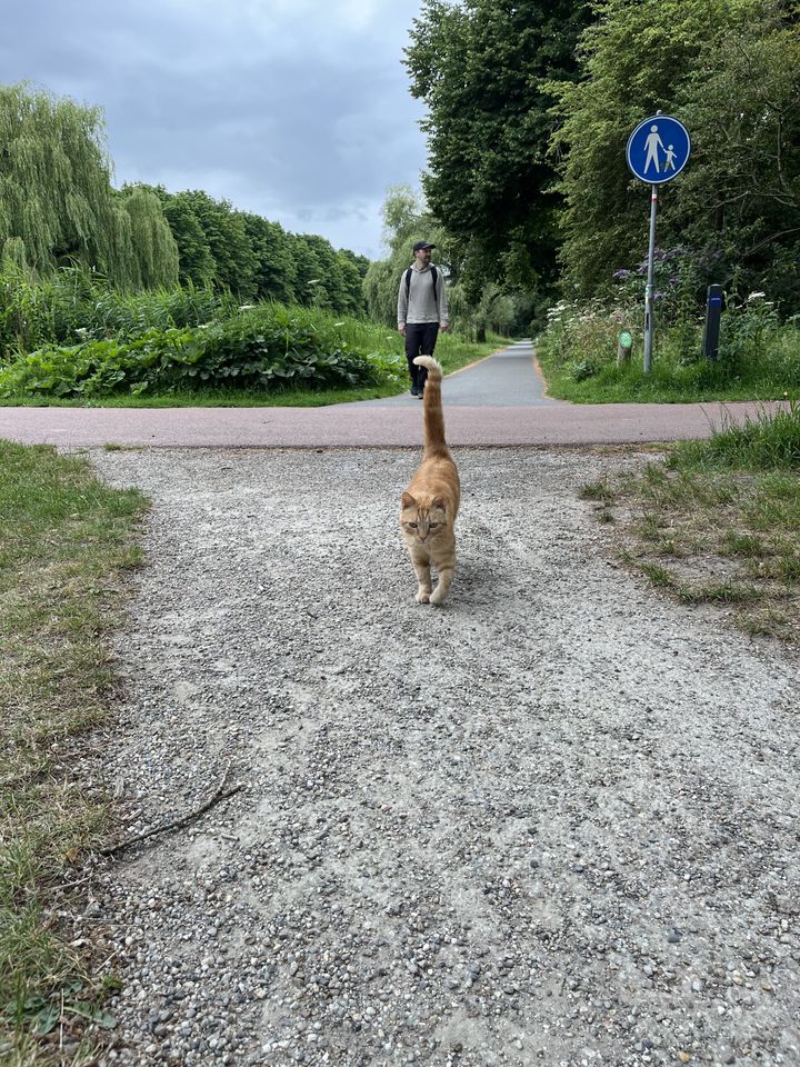 Alkmaar — Saturday, July 4, 17:36