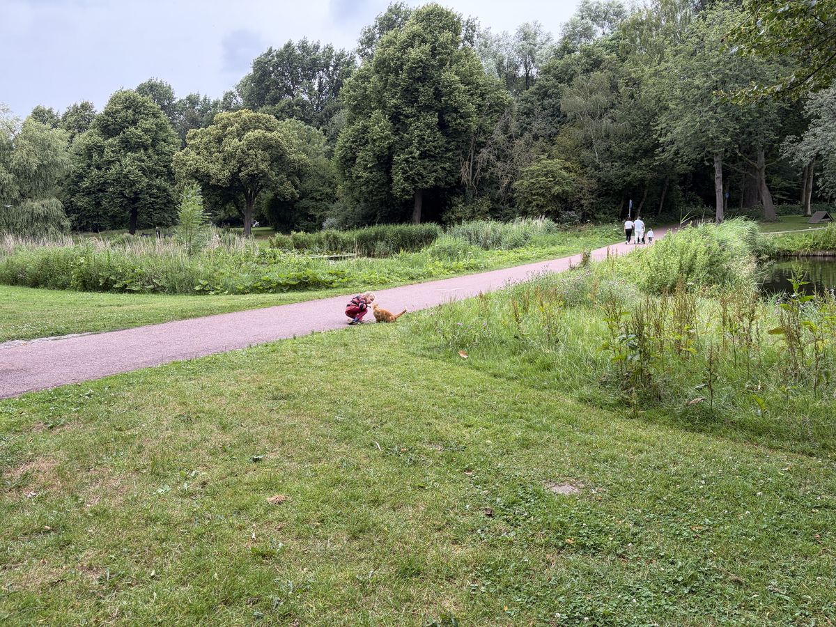 Alkmaar — Saturday, July 4, 17:39