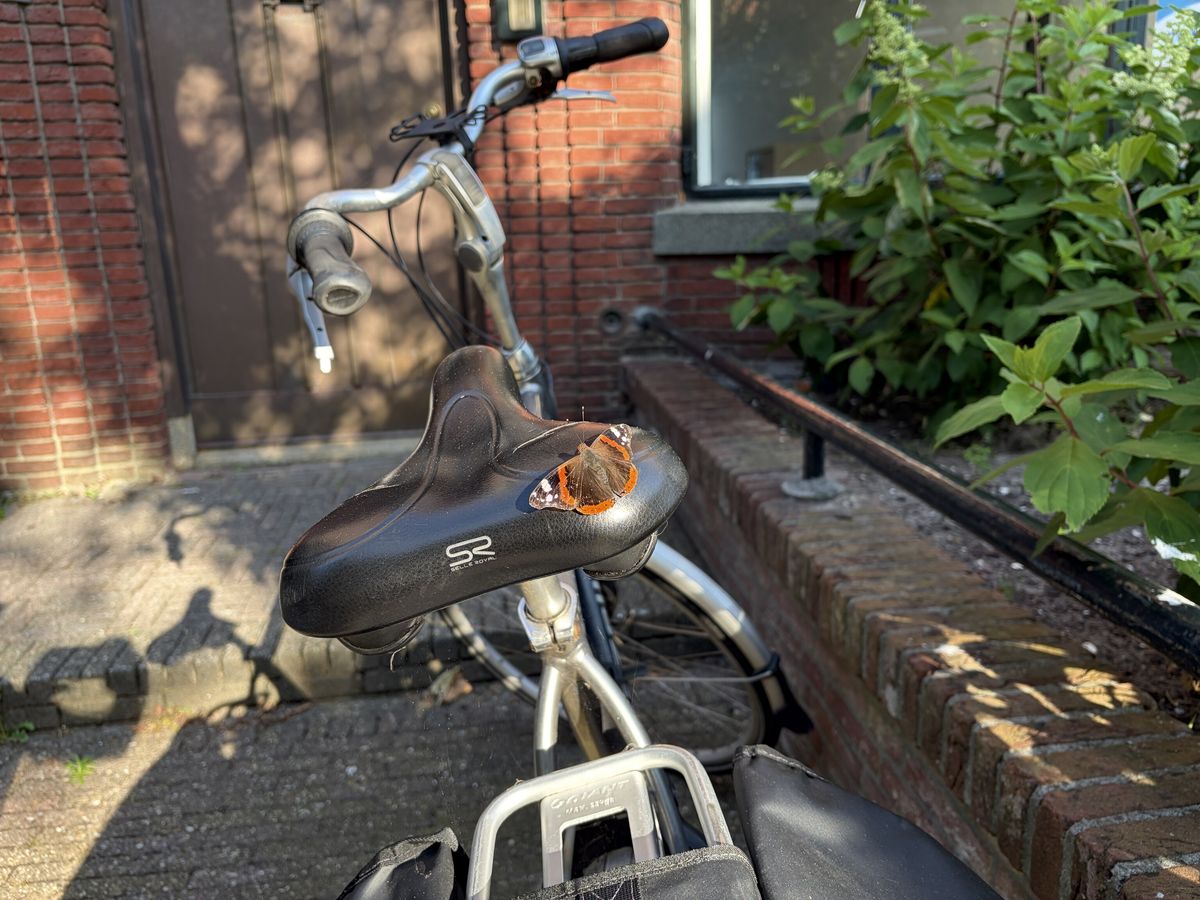 Alkmaar — Thursday, July 9, 19:07