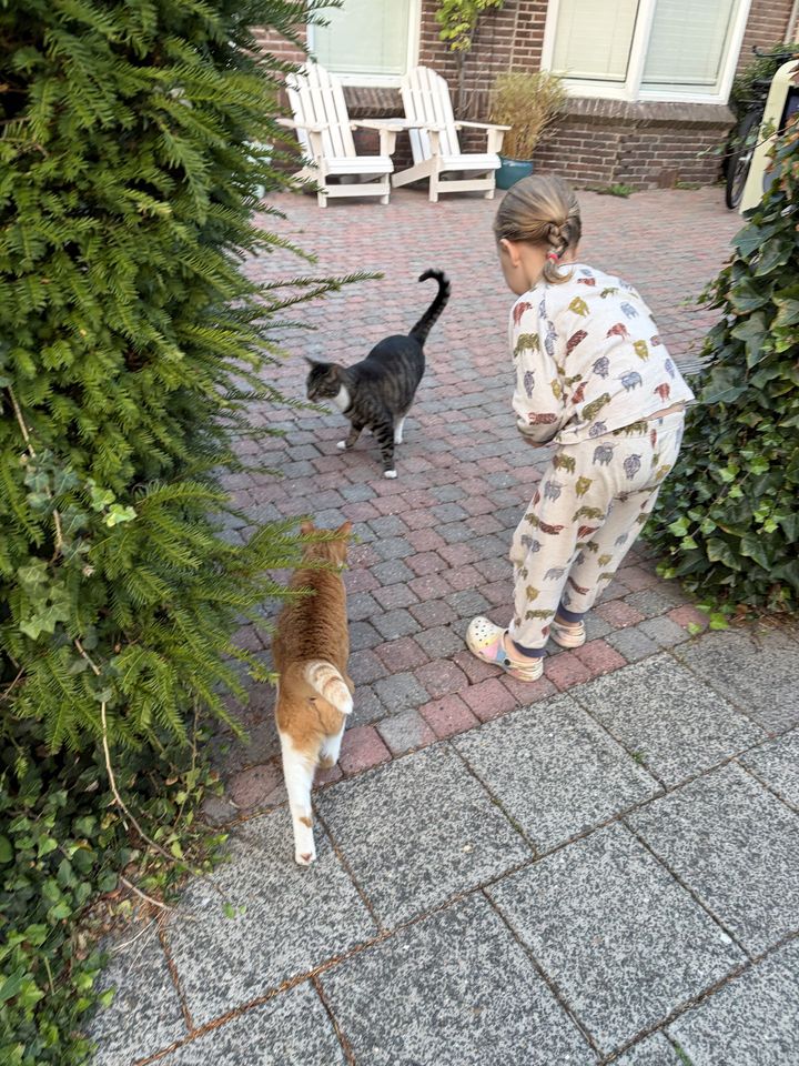 Haarlem — Monday, July 27, 21:08